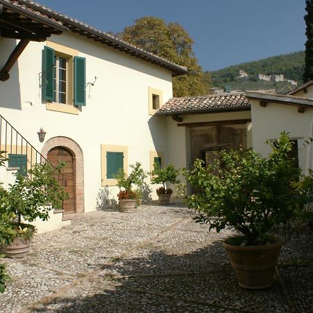La Palombaia Casa de hóspedes Spoleto Exterior foto