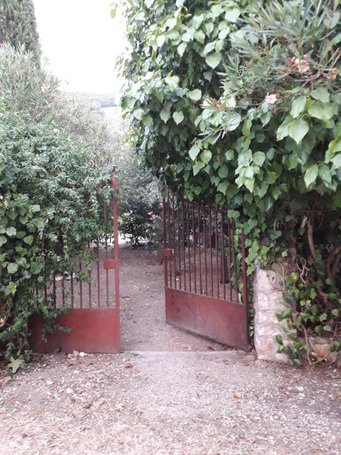 La Palombaia Casa de hóspedes Spoleto Exterior foto