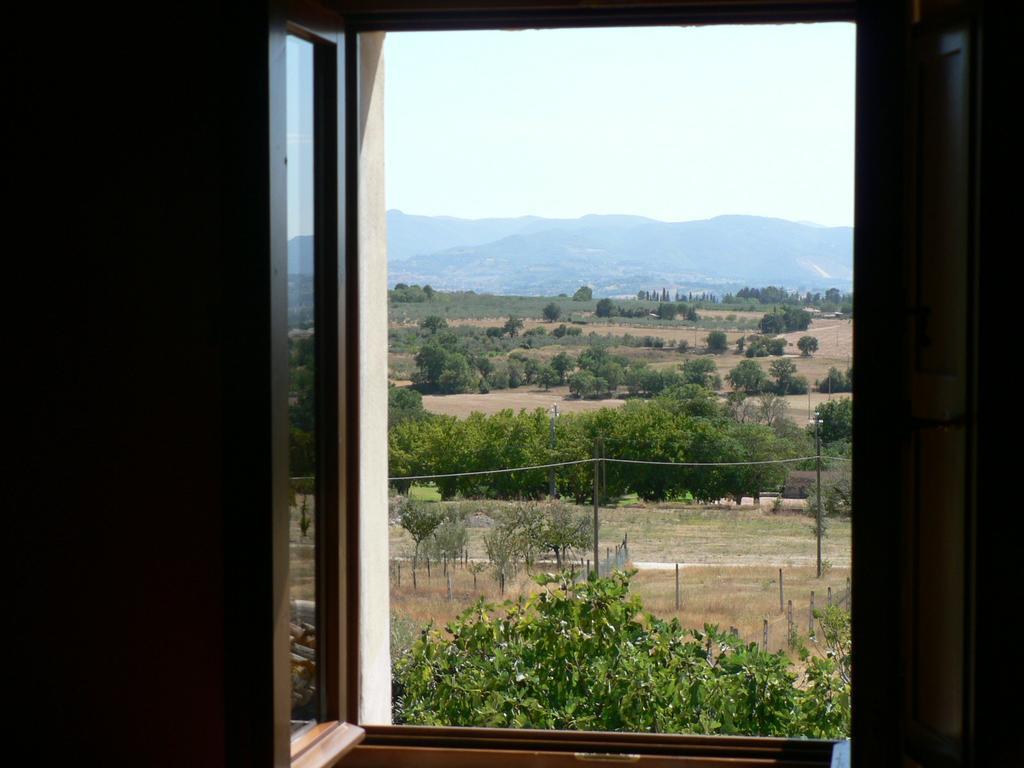 La Palombaia Casa de hóspedes Spoleto Exterior foto